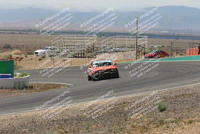 media/May-03-2025-Lucky Dog Racing (Sat) [[206de64b9d]]/Turn 4 B (1150am-130pm)/